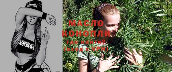 молекула духа Михайловка