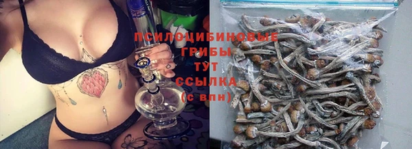 молекула духа Михайловка