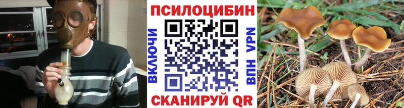 Галлюциногенные грибы мицелий  Бор 