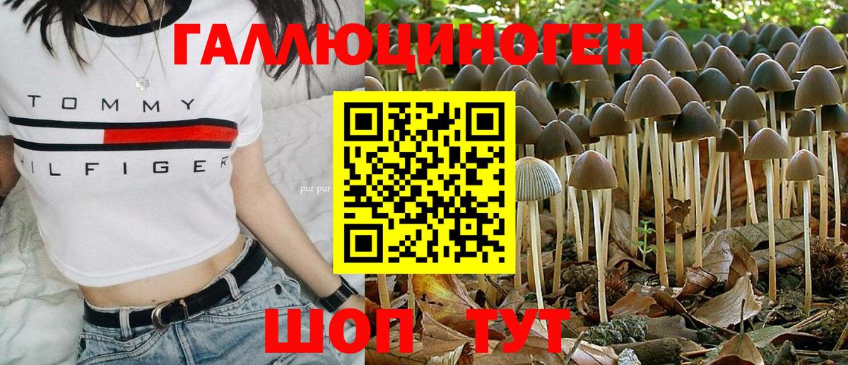 Псилоцибиновые грибы мицелий Бор