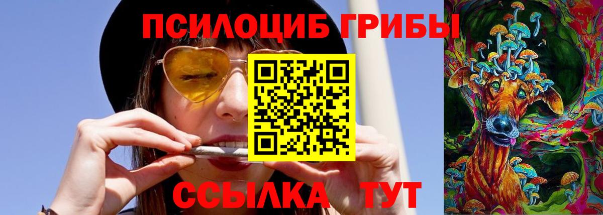 купить закладку  Бор  Галлюциногенные грибы ЛСД 