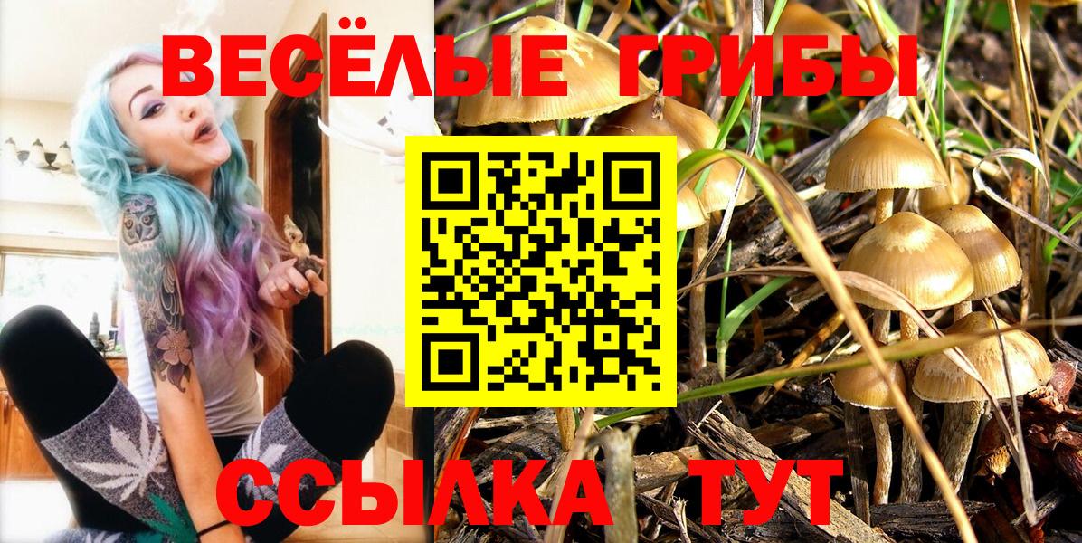 Бор  Псилоцибиновые грибы MAGIC MUSHROOMS  как найти закладки  Галлюциногенные грибы Psilocybe  Вход с VPN 