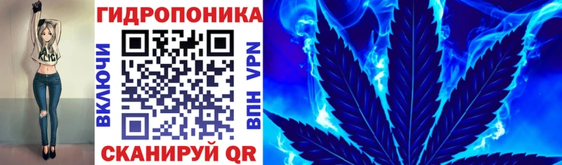 блэк спрут как зайти  Бор  Канабис VHQ  где можно купить наркотик 